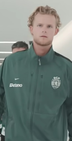 Kasper Hjulmand's Journey: From Danish Glory to Bundesliga Challenge